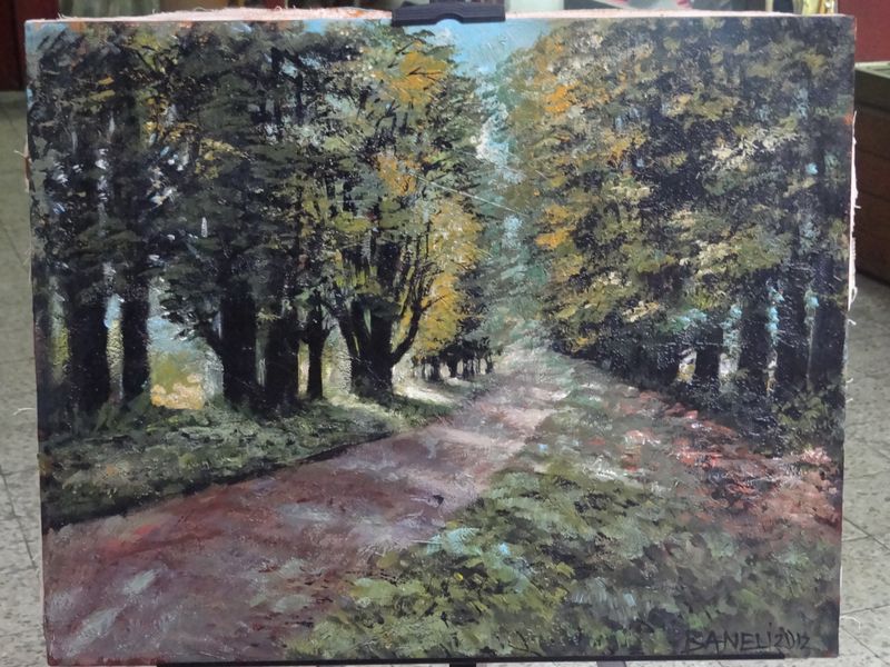 forest